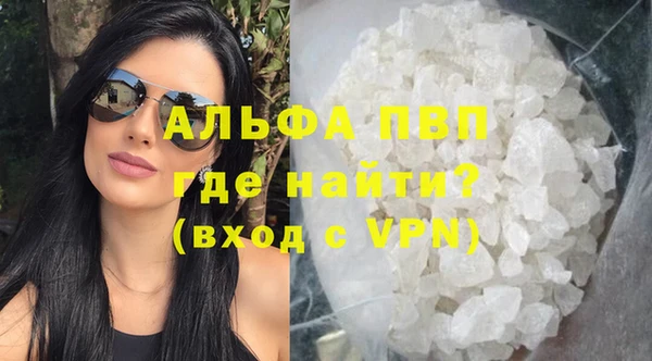 эйфоретик Баксан