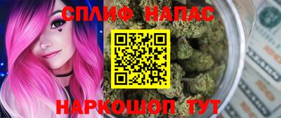 тгк Камышлов