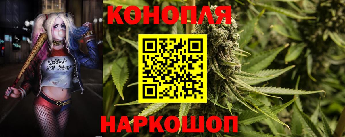 Кувандык  Бошки Шишки White Widow  Канабис планчик  Вход с VPN 